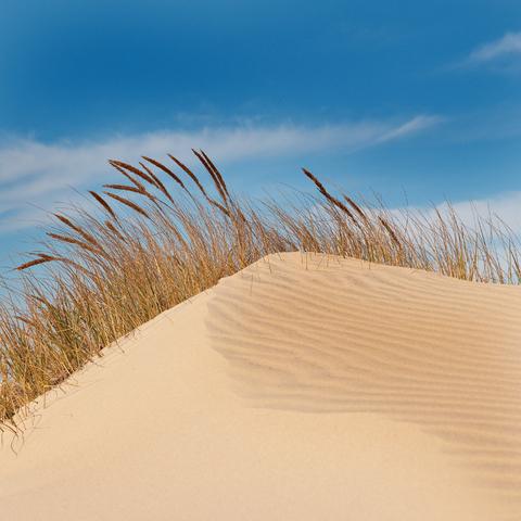 Hilton Garden Inn Outer Banks/Kitty Hawk - thumb 35