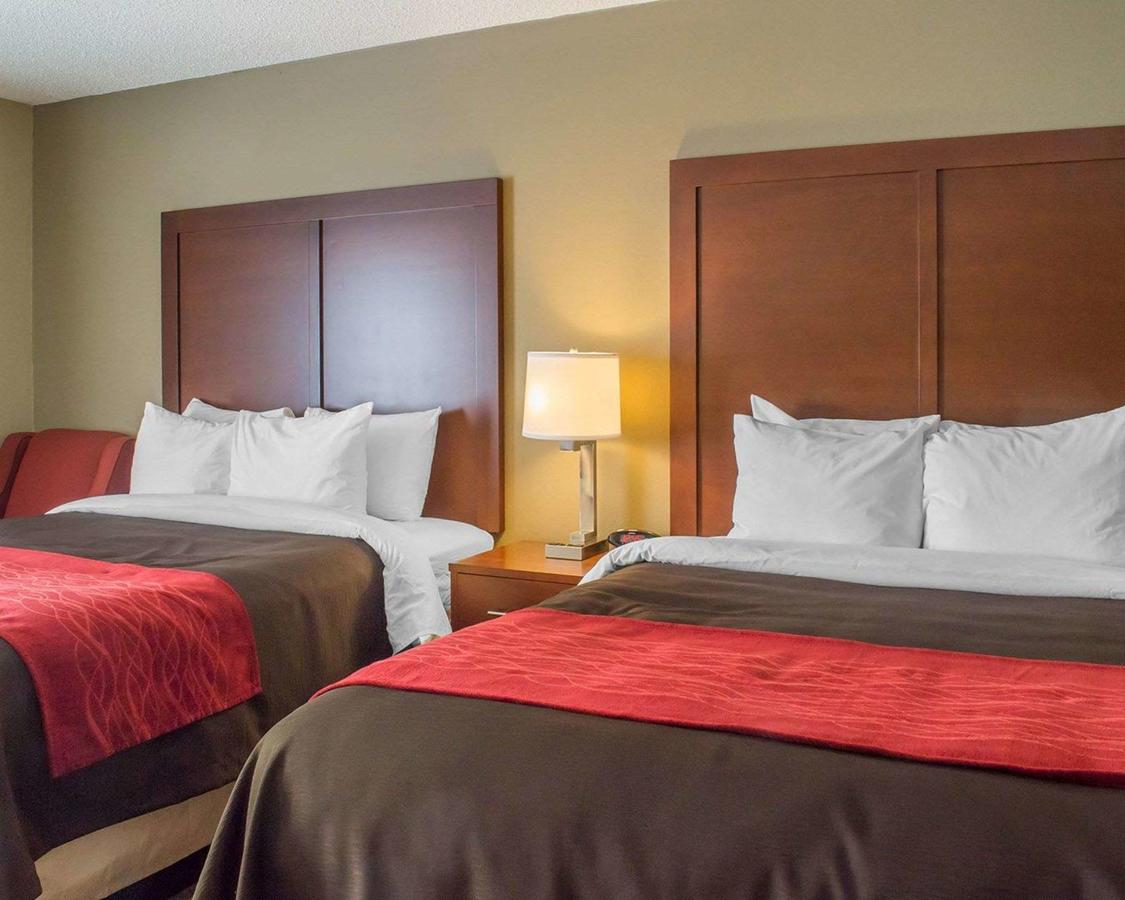 Comfort Inn Mayfield Heights Cleveland East - thumb 18