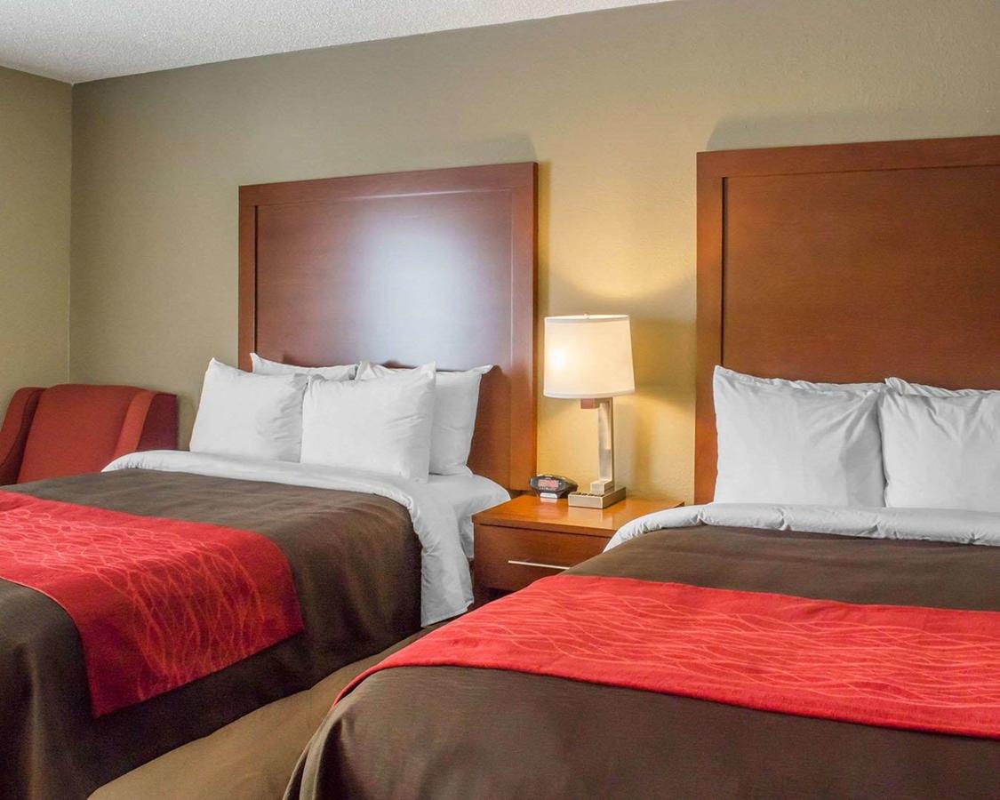 Comfort Inn Mayfield Heights Cleveland East - thumb 2