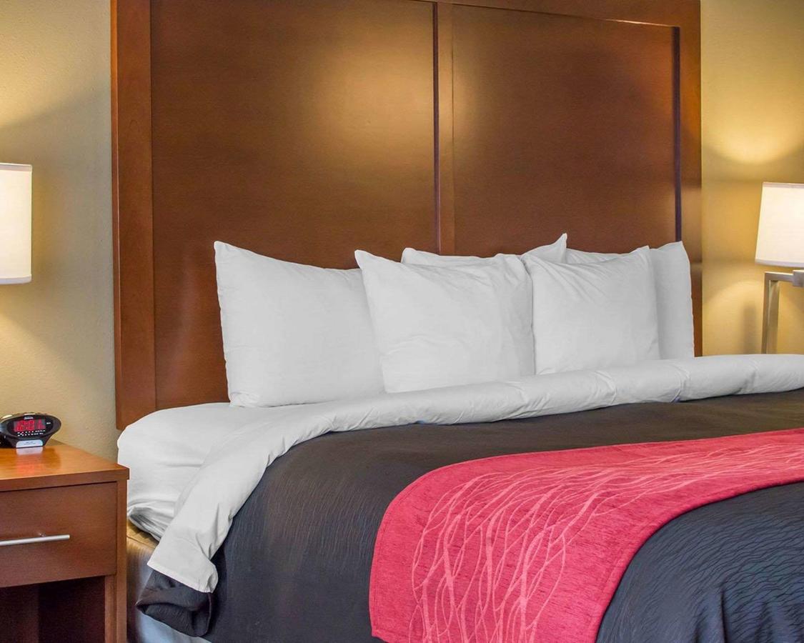 Comfort Inn Mayfield Heights Cleveland East - thumb 12