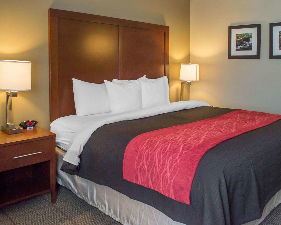 Comfort Inn Mayfield Heights Cleveland East - thumb 22