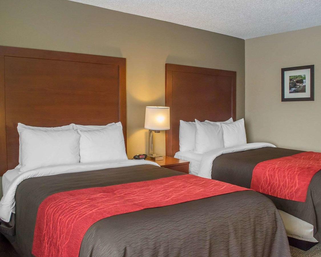 Comfort Inn Mayfield Heights Cleveland East - thumb 11