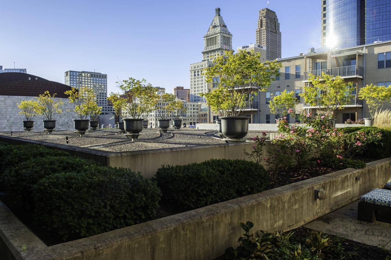 Guild Cincinnati - The Banks - thumb 4