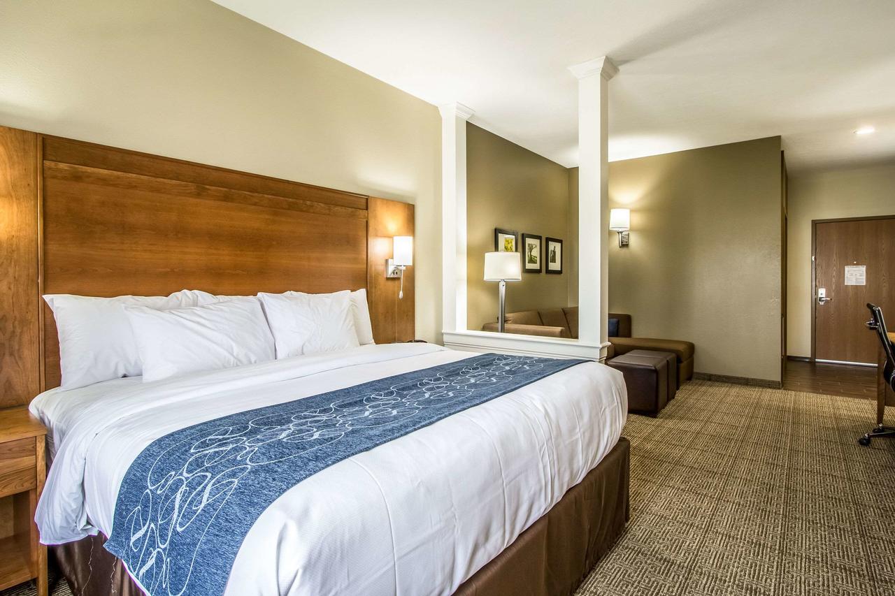 Comfort Suites Hotel And Conference Center - thumb 7