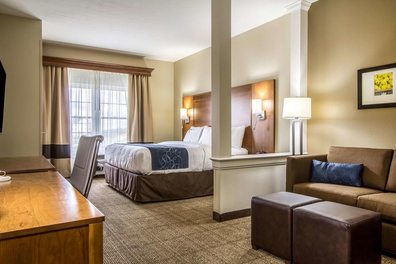 Comfort Suites Hotel And Conference Center - thumb 23