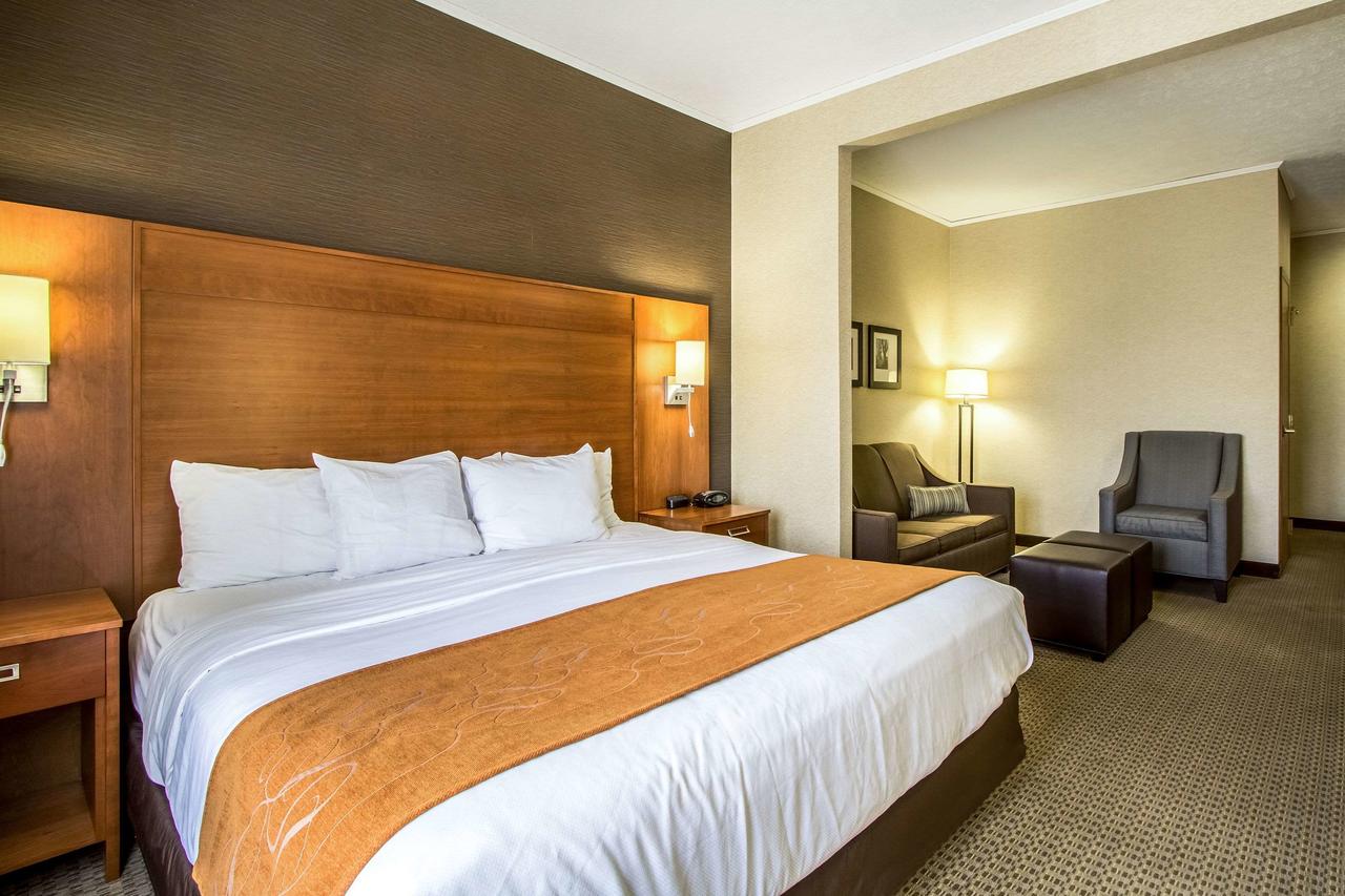 Comfort Suites Hotel And Conference Center - thumb 18