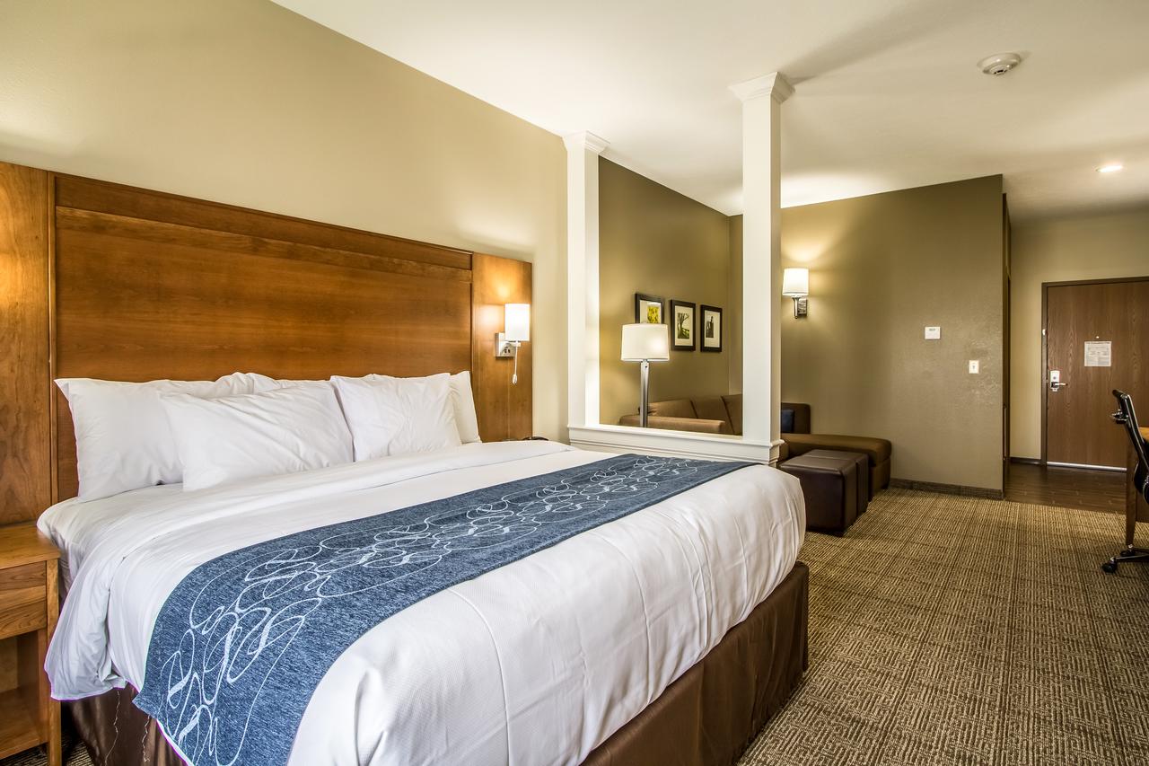 Comfort Suites Hotel And Conference Center - thumb 2