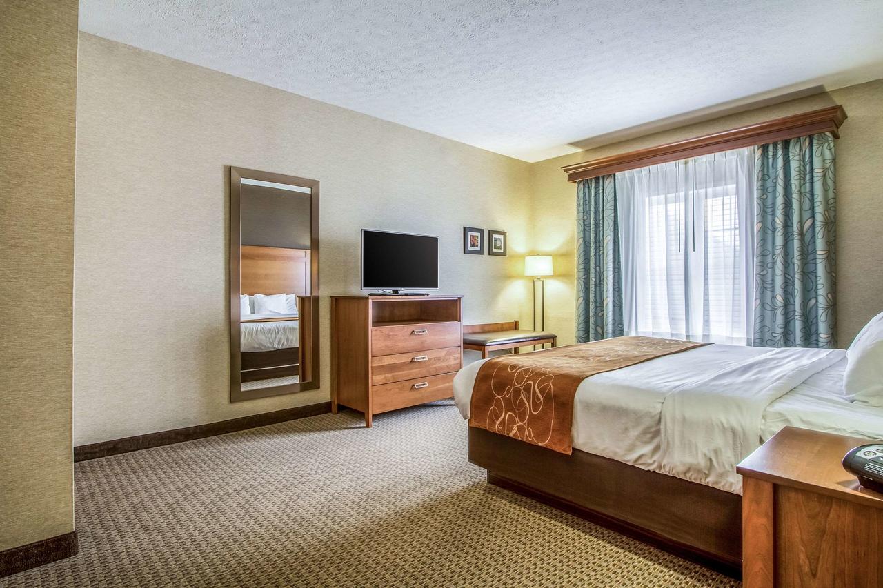 Comfort Suites Hotel And Conference Center - thumb 4