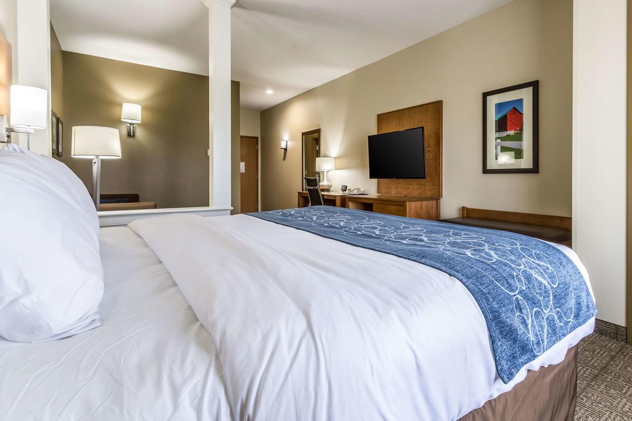 Comfort Suites Hotel And Conference Center - thumb 34