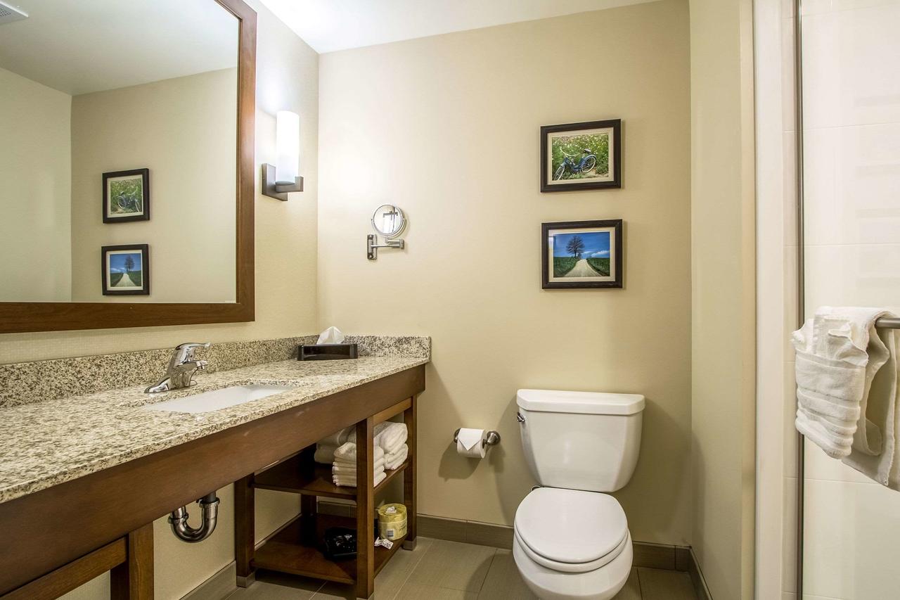 Comfort Suites Hotel And Conference Center - thumb 22