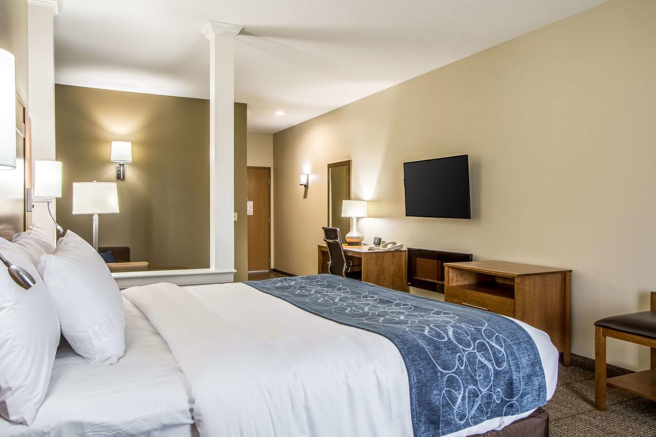 Comfort Suites Hotel And Conference Center - thumb 36