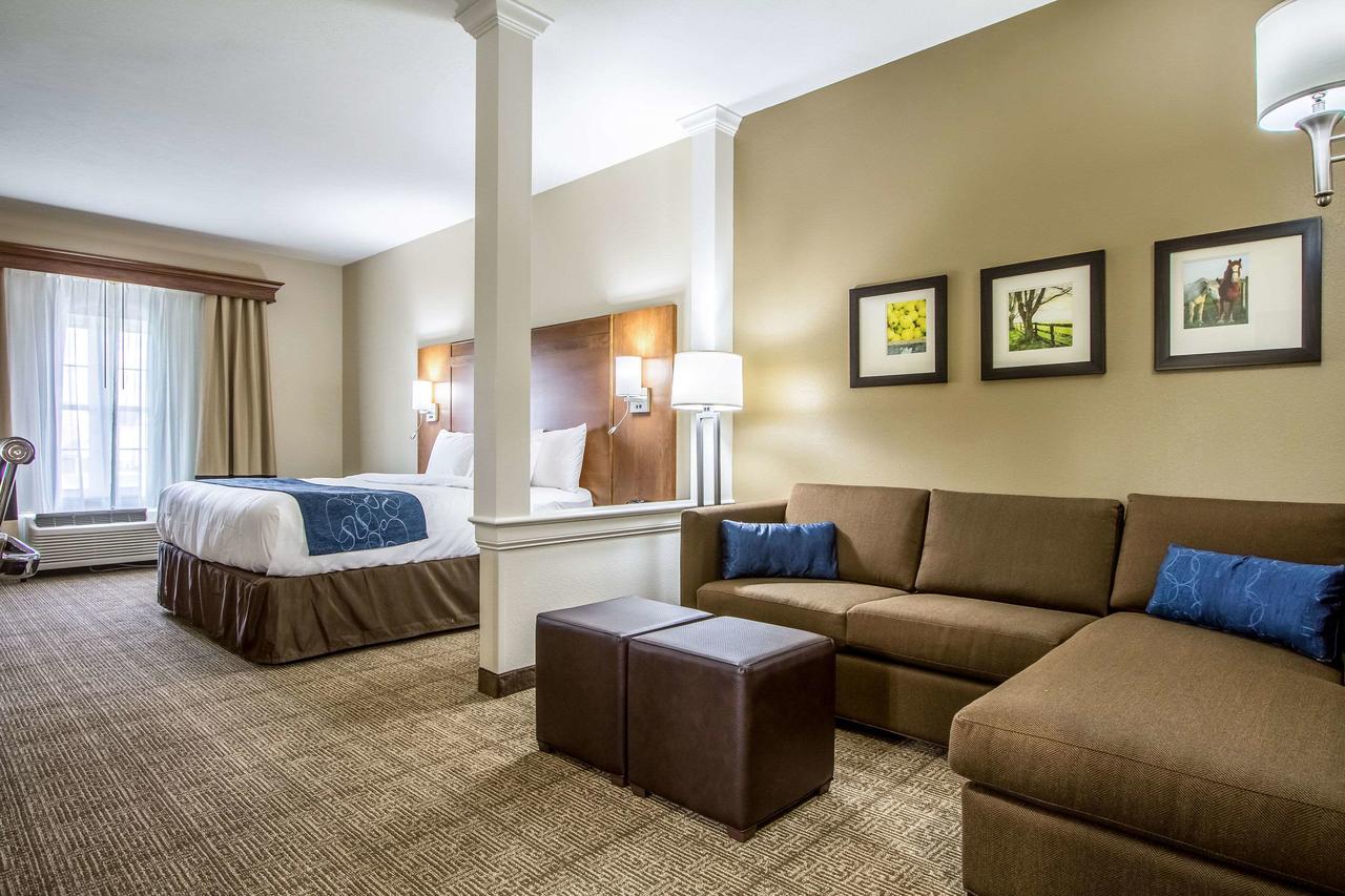 Comfort Suites Hotel And Conference Center - thumb 24