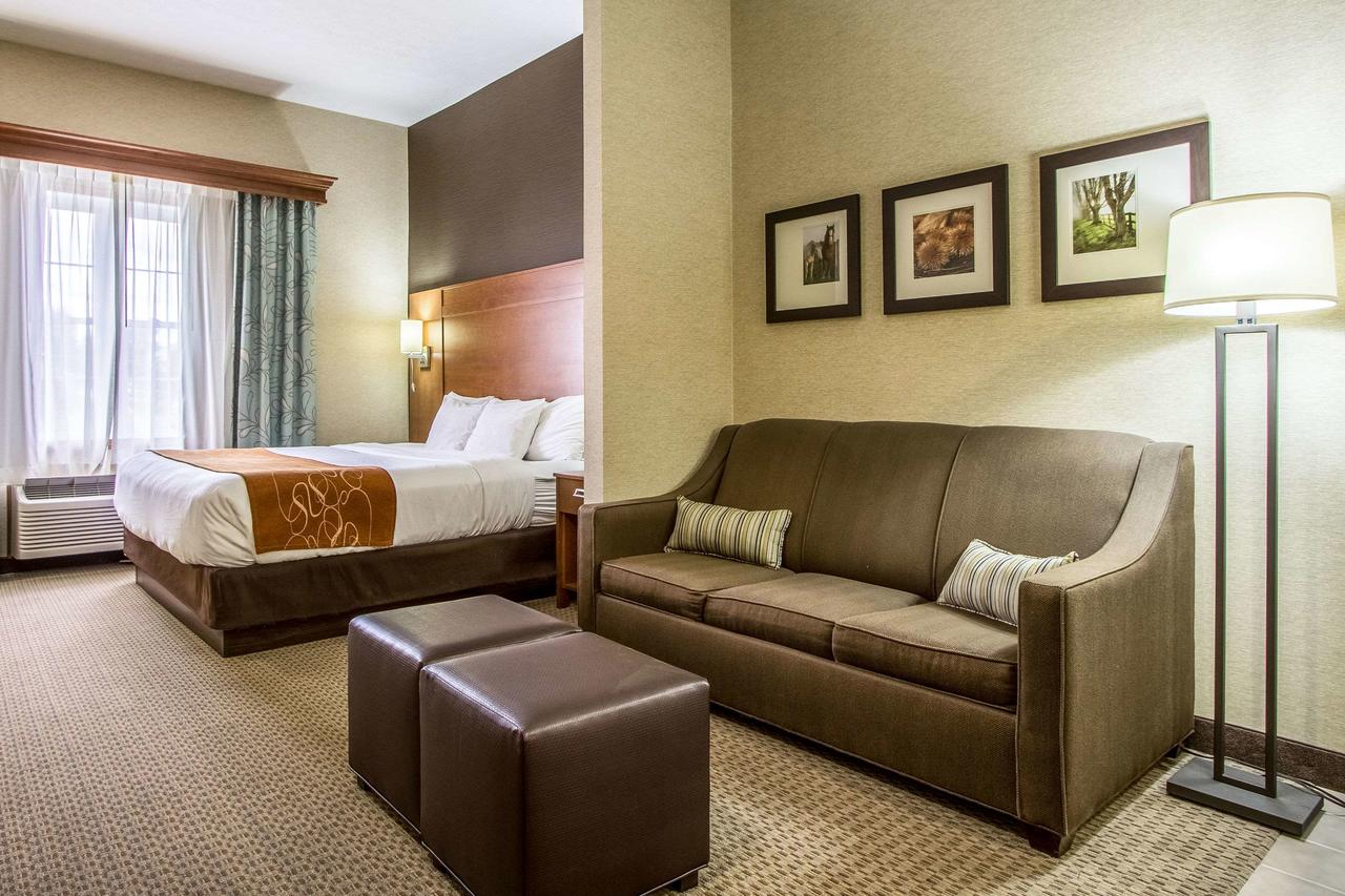 Comfort Suites Hotel And Conference Center - thumb 5