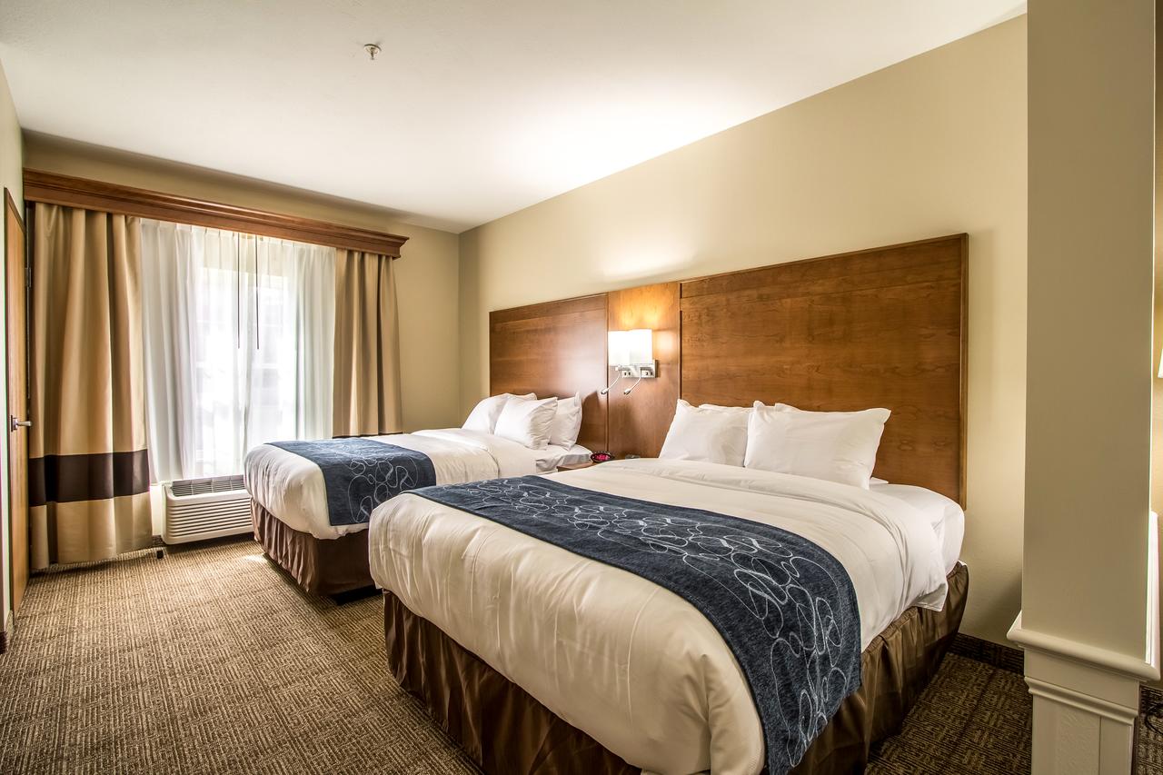 Comfort Suites Hotel And Conference Center - thumb 6