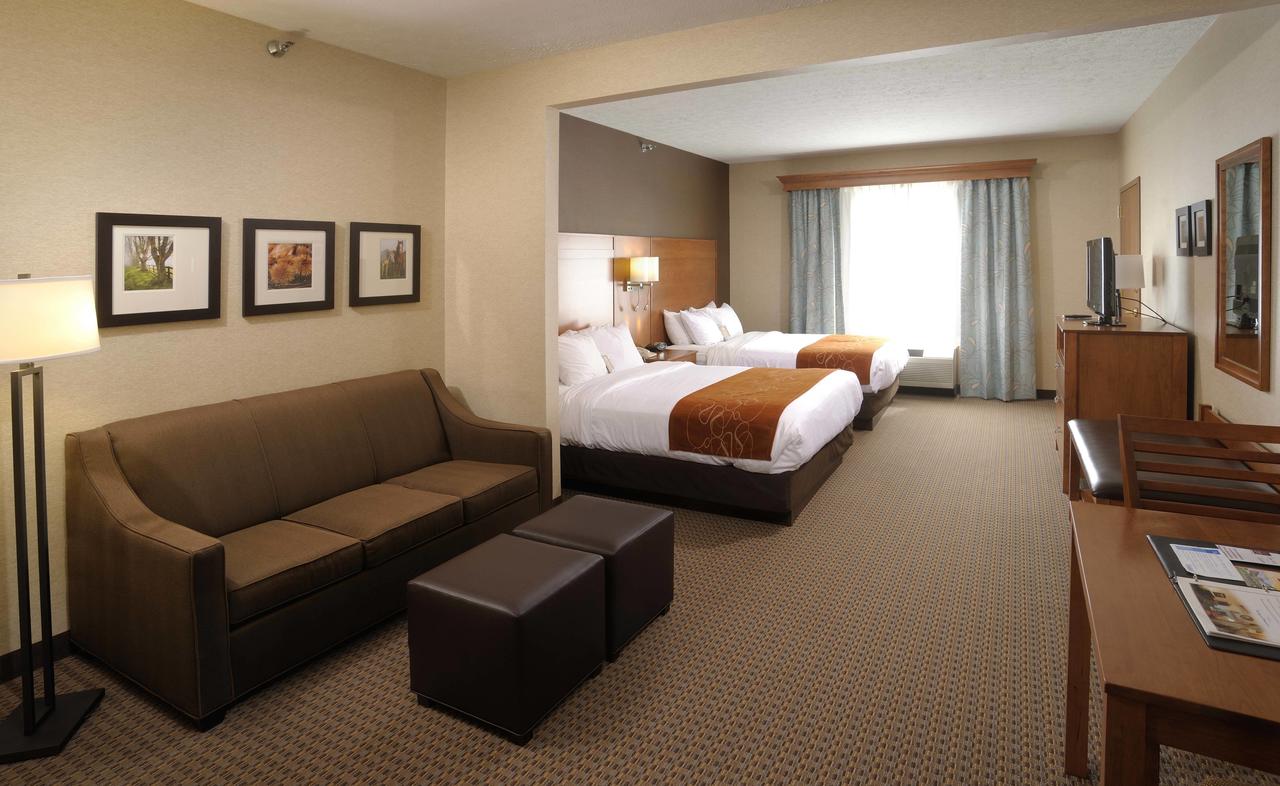 Comfort Suites Hotel And Conference Center - thumb 20