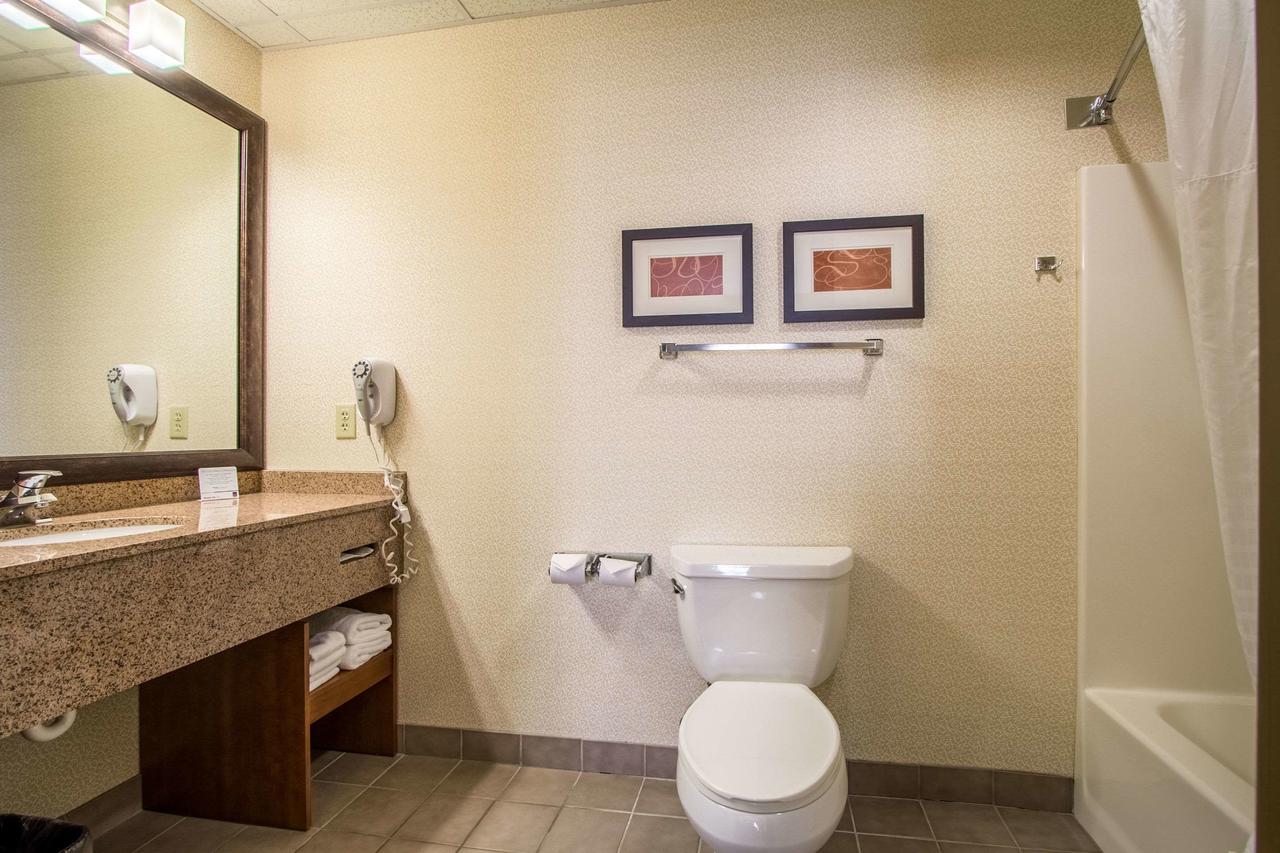 Comfort Suites Hotel And Conference Center - thumb 21