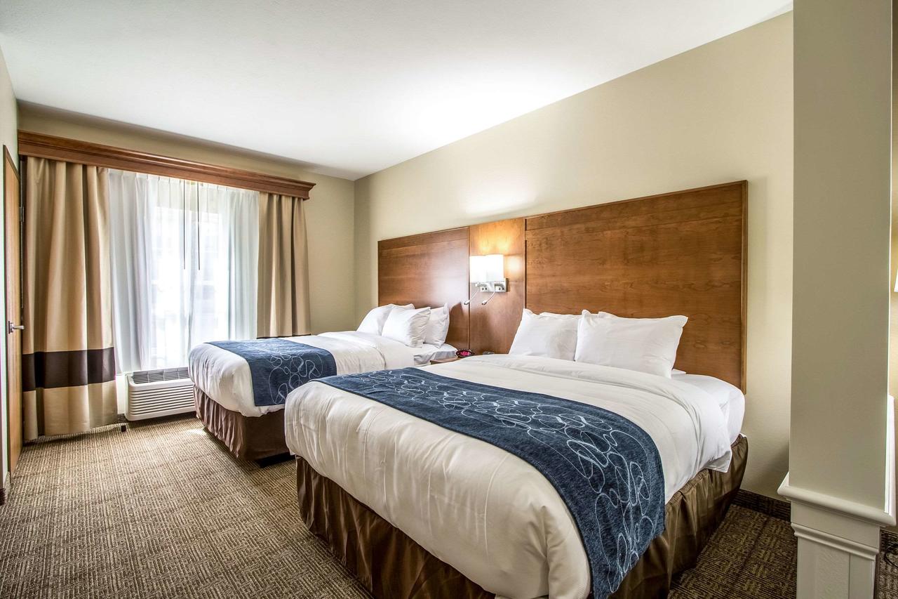 Comfort Suites Hotel And Conference Center - thumb 26