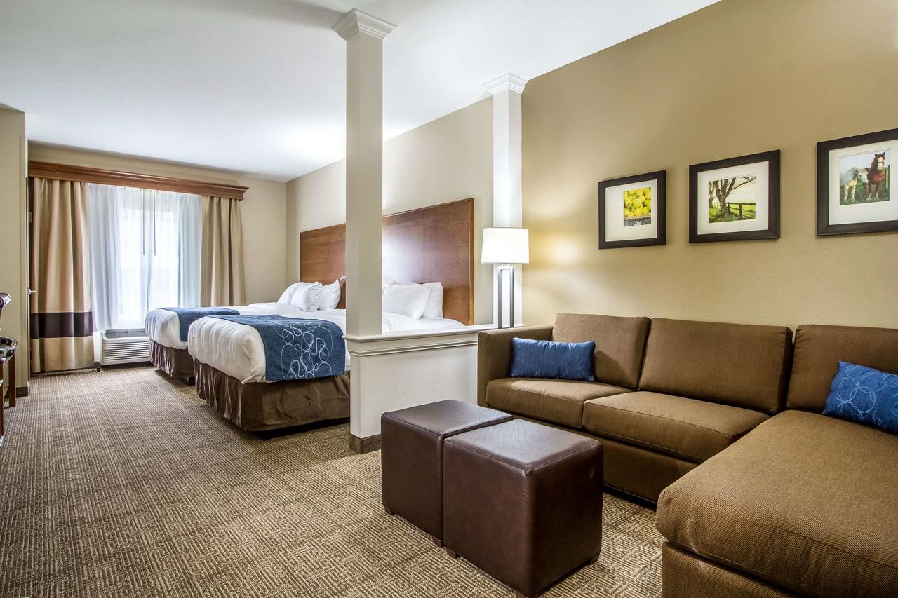 Comfort Suites Hotel And Conference Center - thumb 35