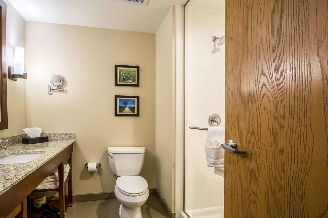 Comfort Suites Hotel And Conference Center - thumb 29