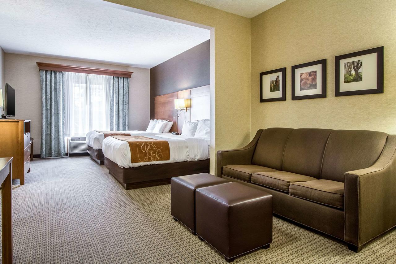 Comfort Suites Hotel And Conference Center - thumb 44