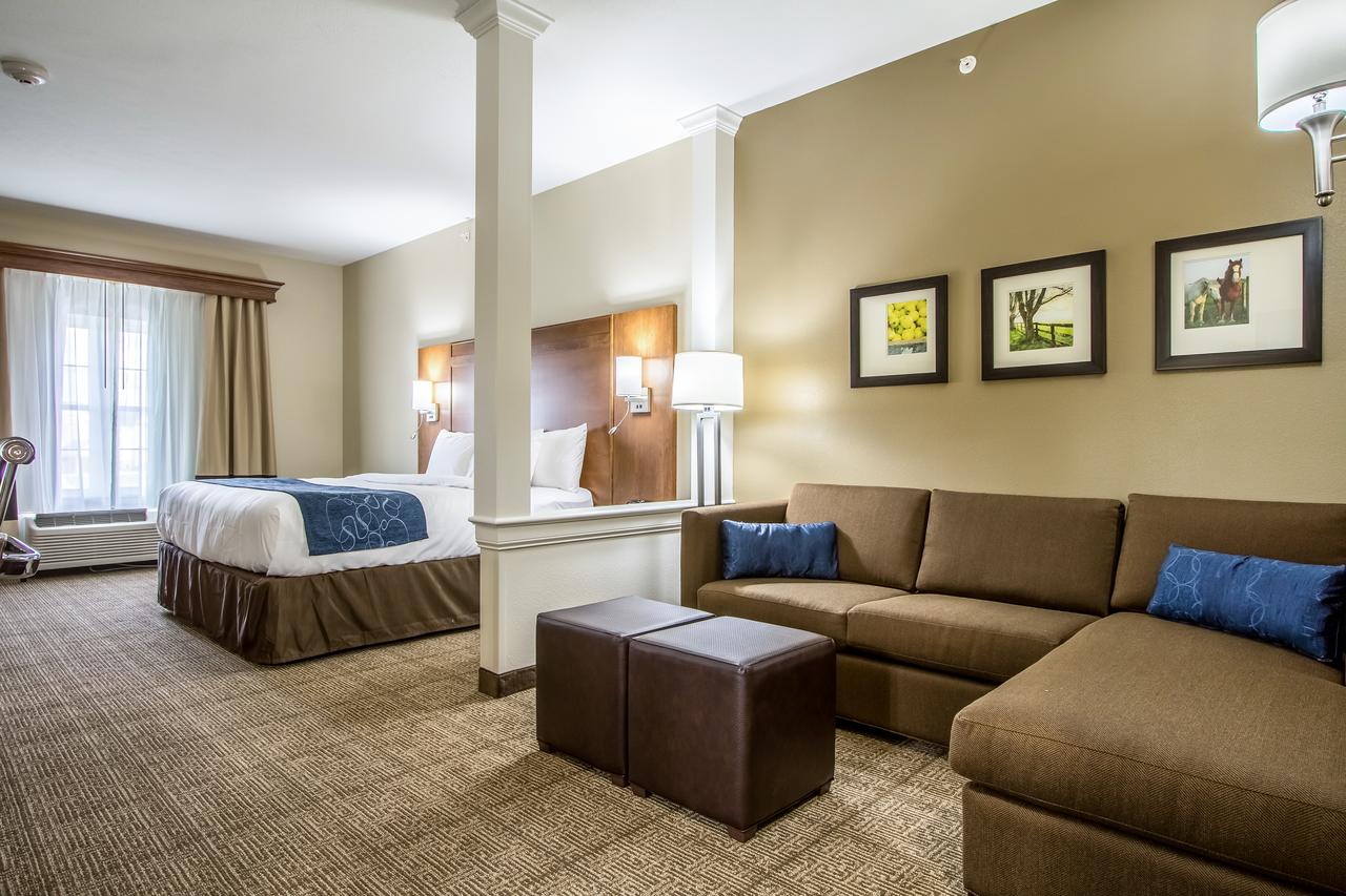 Comfort Suites Hotel And Conference Center - thumb 8