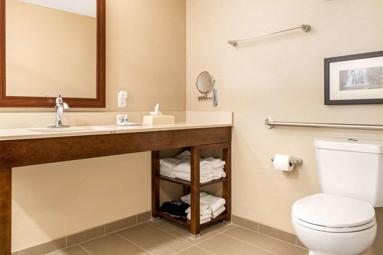 Comfort Suites Columbus Airport - thumb 18