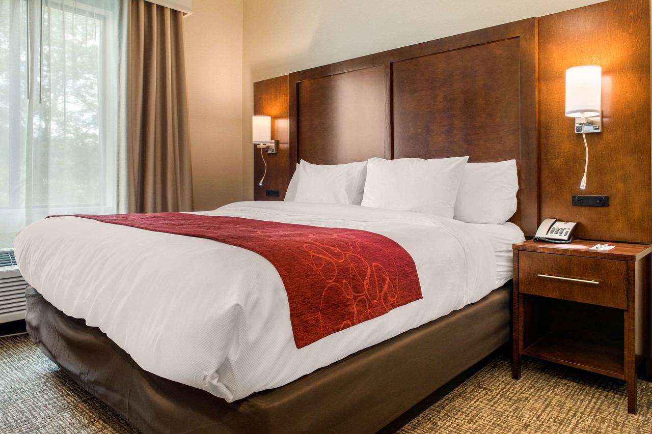Comfort Suites Columbus Airport - thumb 19