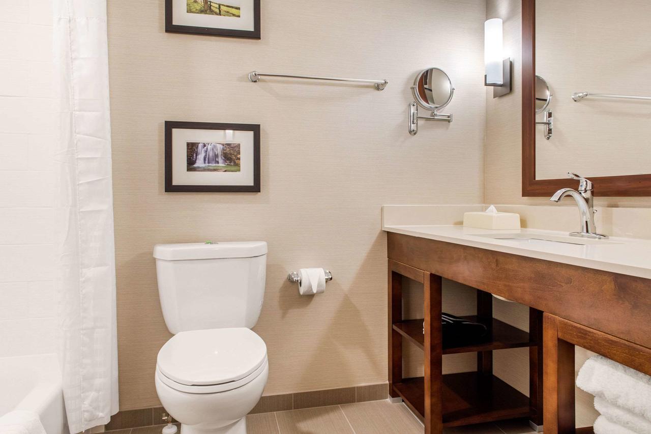 Comfort Suites Columbus Airport - thumb 2