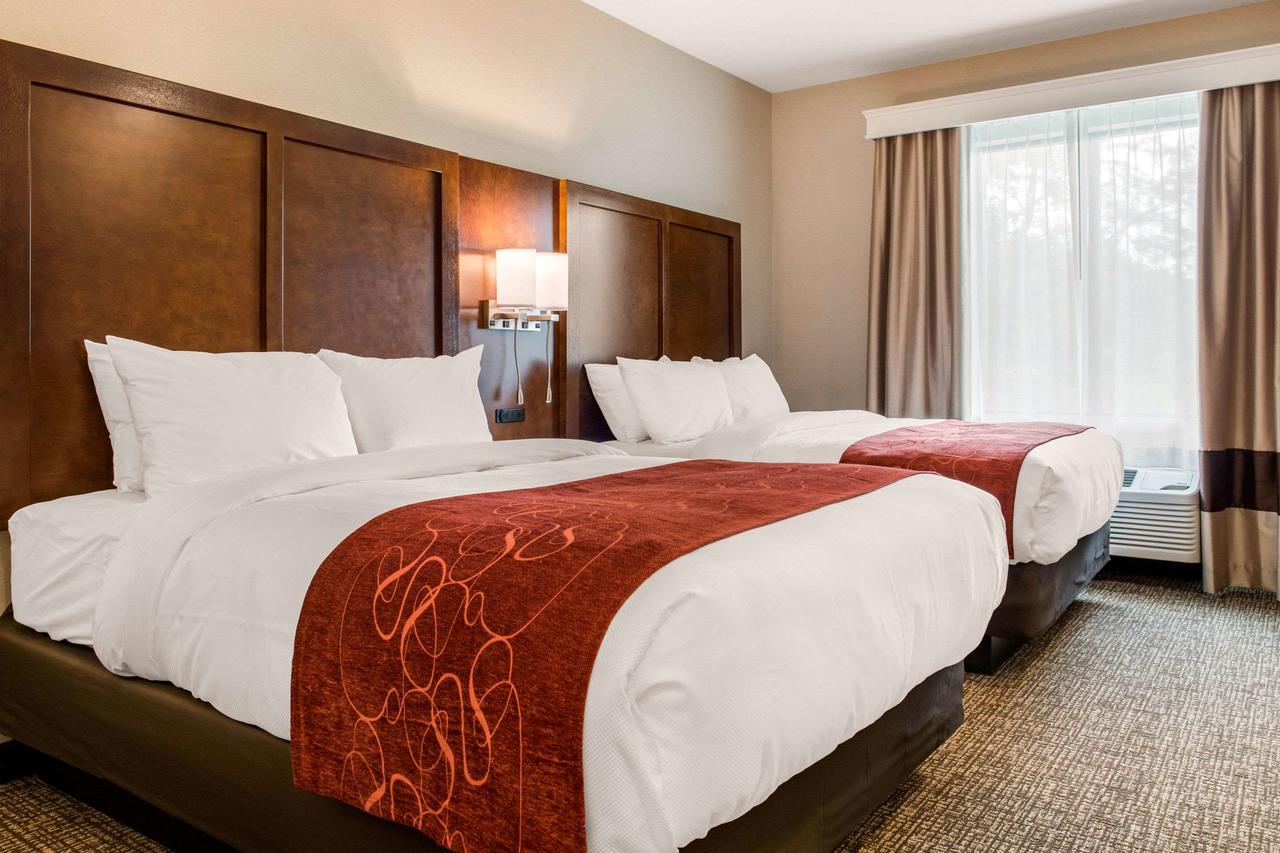 Comfort Suites Columbus Airport - thumb 11