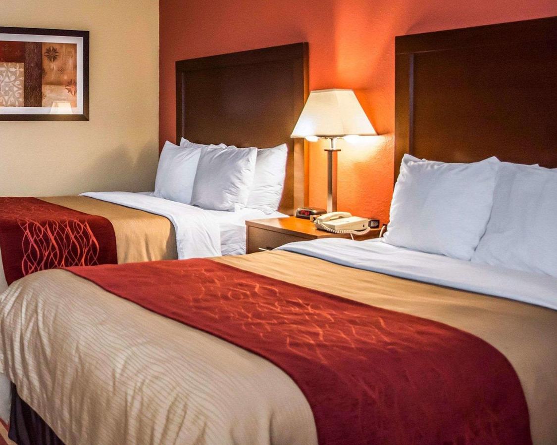 Comfort Inn And Suites Eastgate Cincinnati - thumb 15