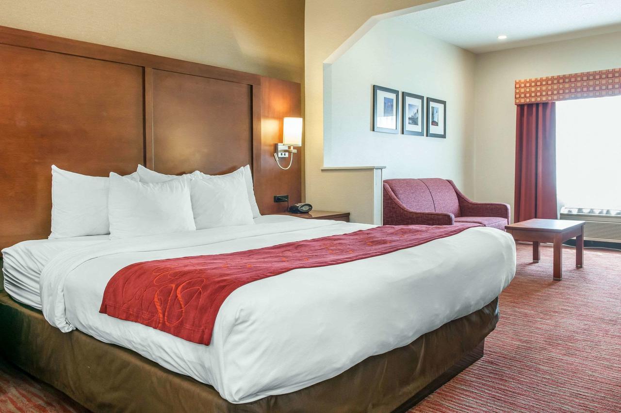 Comfort Suites Columbus - thumb 26