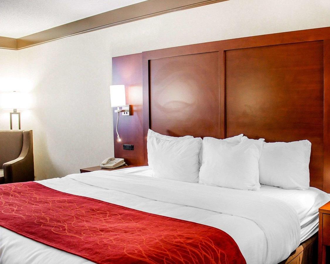Comfort Inn Mount Vernon - thumb 17