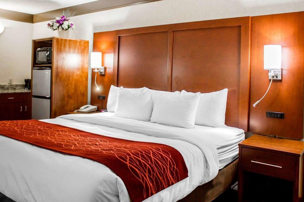 Comfort Inn Mount Vernon - thumb 10