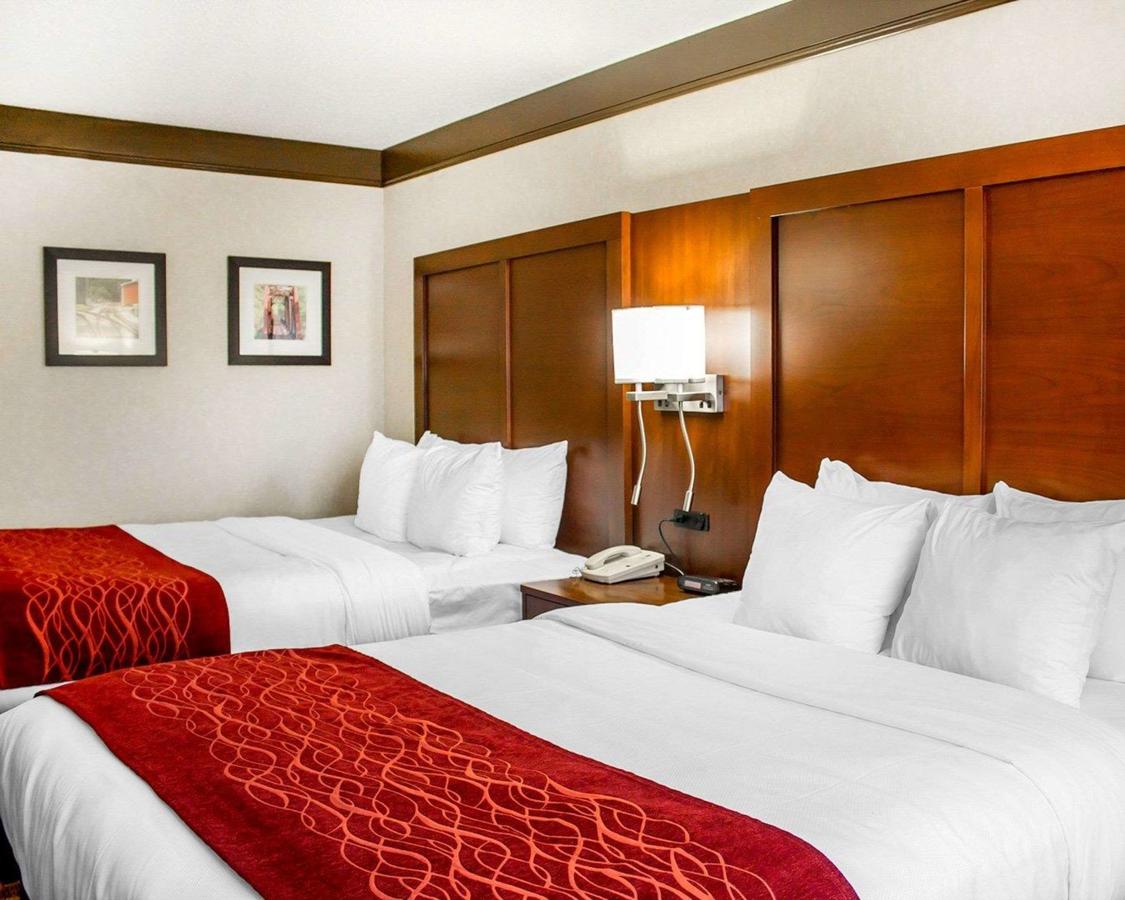Comfort Inn Mount Vernon - thumb 22
