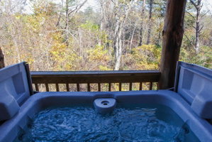 Hemlock - Hocking Hills Cabin