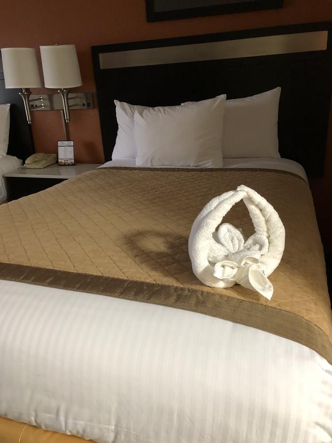 Baymont By Wyndham Cincinnati - thumb 5