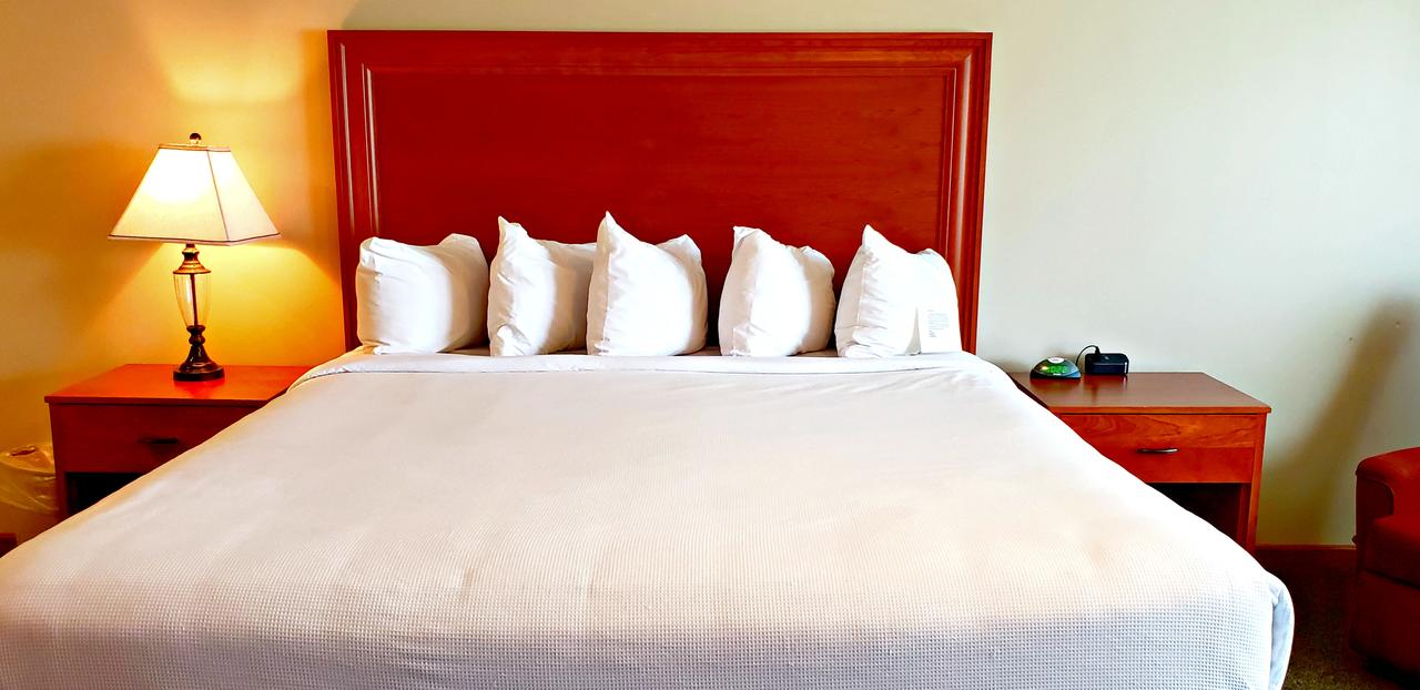 Zinck's Inn Berlin - thumb 27