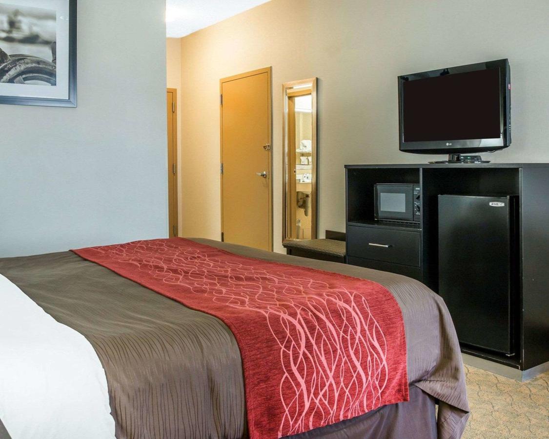 Comfort Inn & Suites Maumee - Toledo - I80-90 - thumb 2