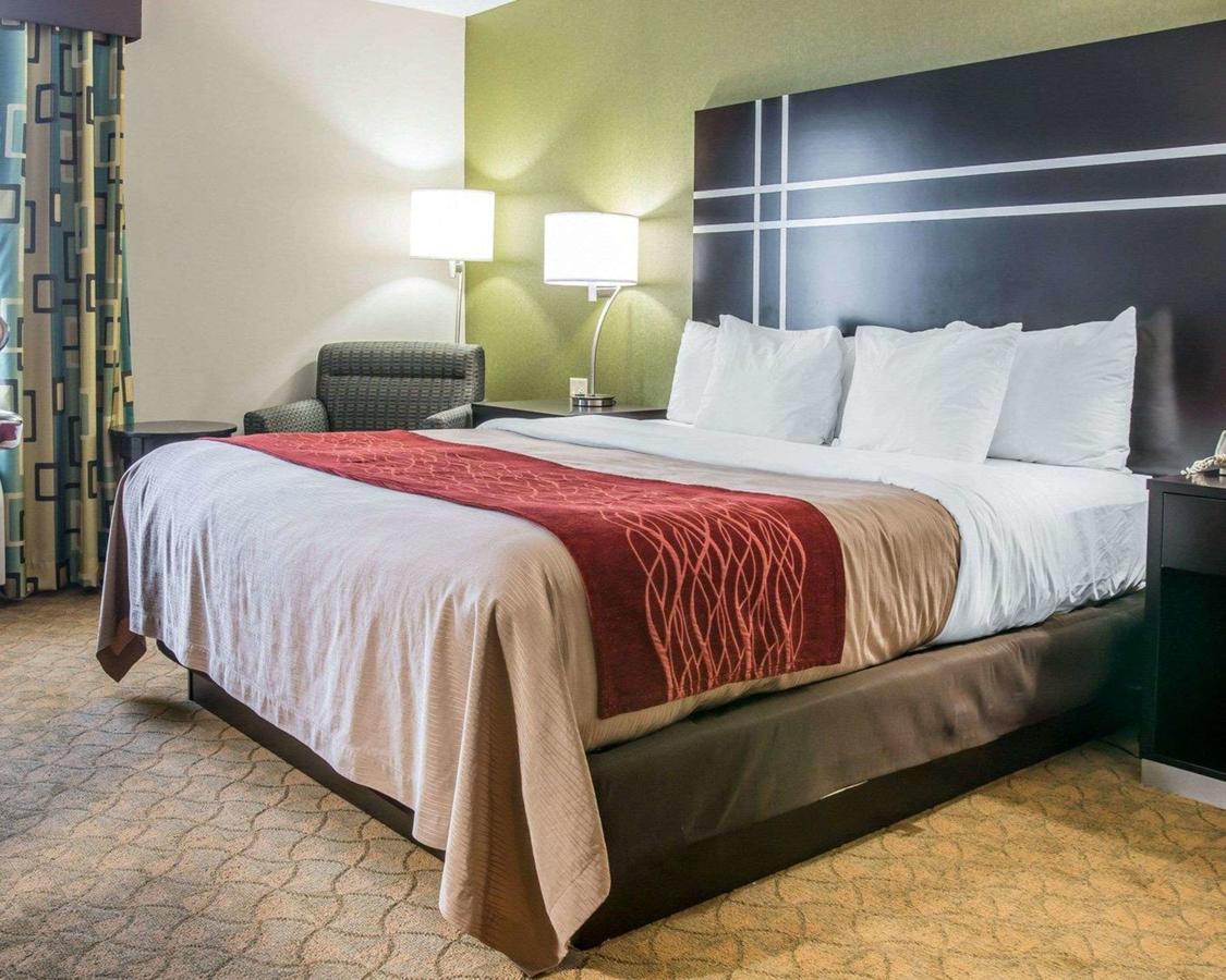 Comfort Inn & Suites Maumee - Toledo - I80-90 - thumb 27