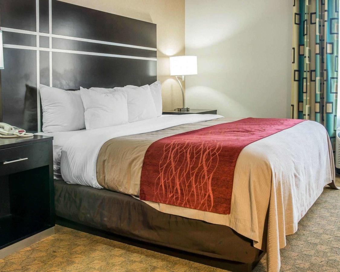 Comfort Inn & Suites Maumee - Toledo - I80-90 - thumb 18