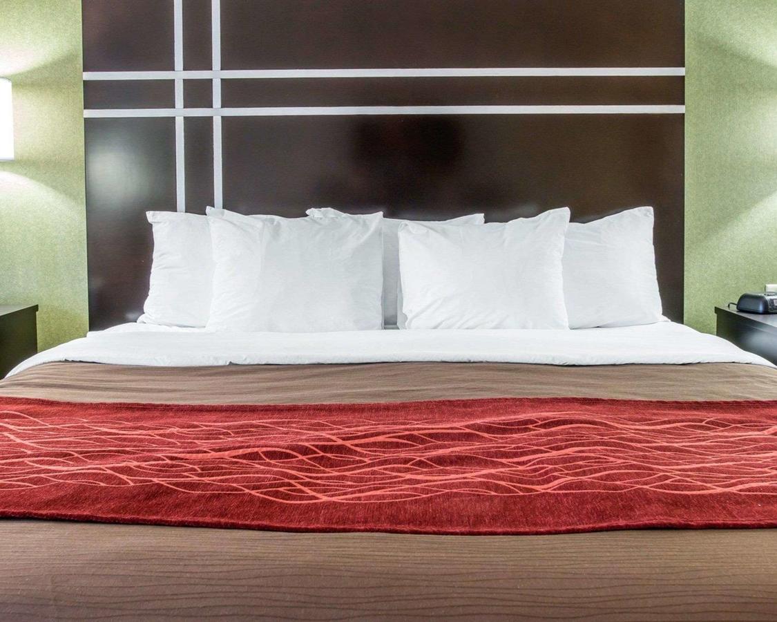 Comfort Inn & Suites Maumee - Toledo - I80-90 - thumb 28