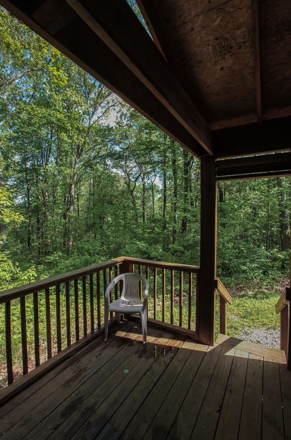 A-Frame #02 - Romantic Escape - Hocking Hills Cabin - thumb 9