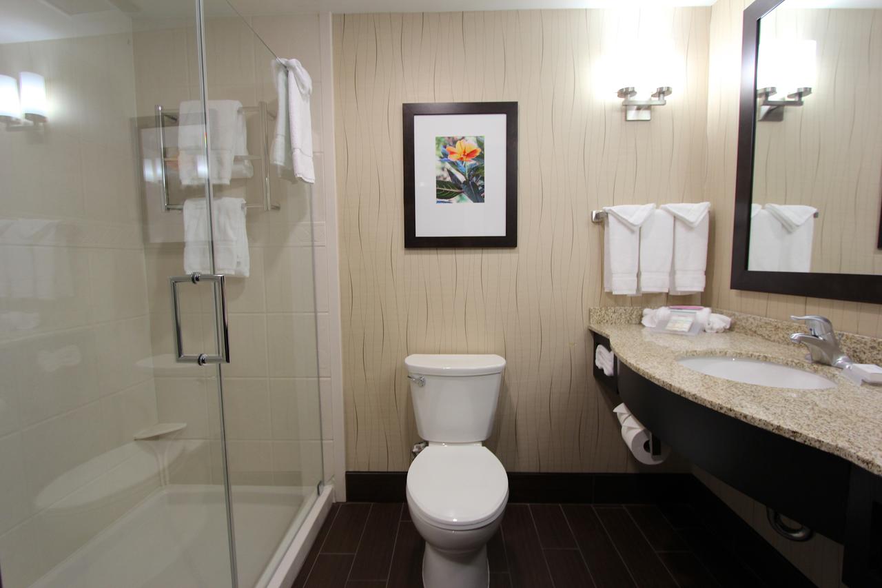 Hilton Garden Inn Findlay - thumb 19