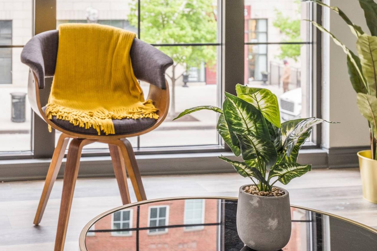 Beautiful + Central Loft W/ Lots Of Natural Light - thumb 12