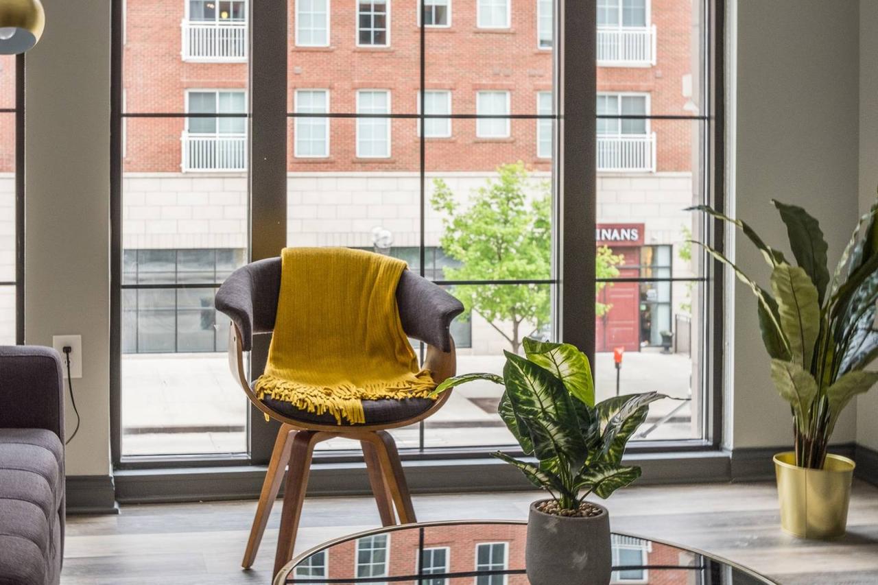 Beautiful + Central Loft W/ Lots Of Natural Light - thumb 9
