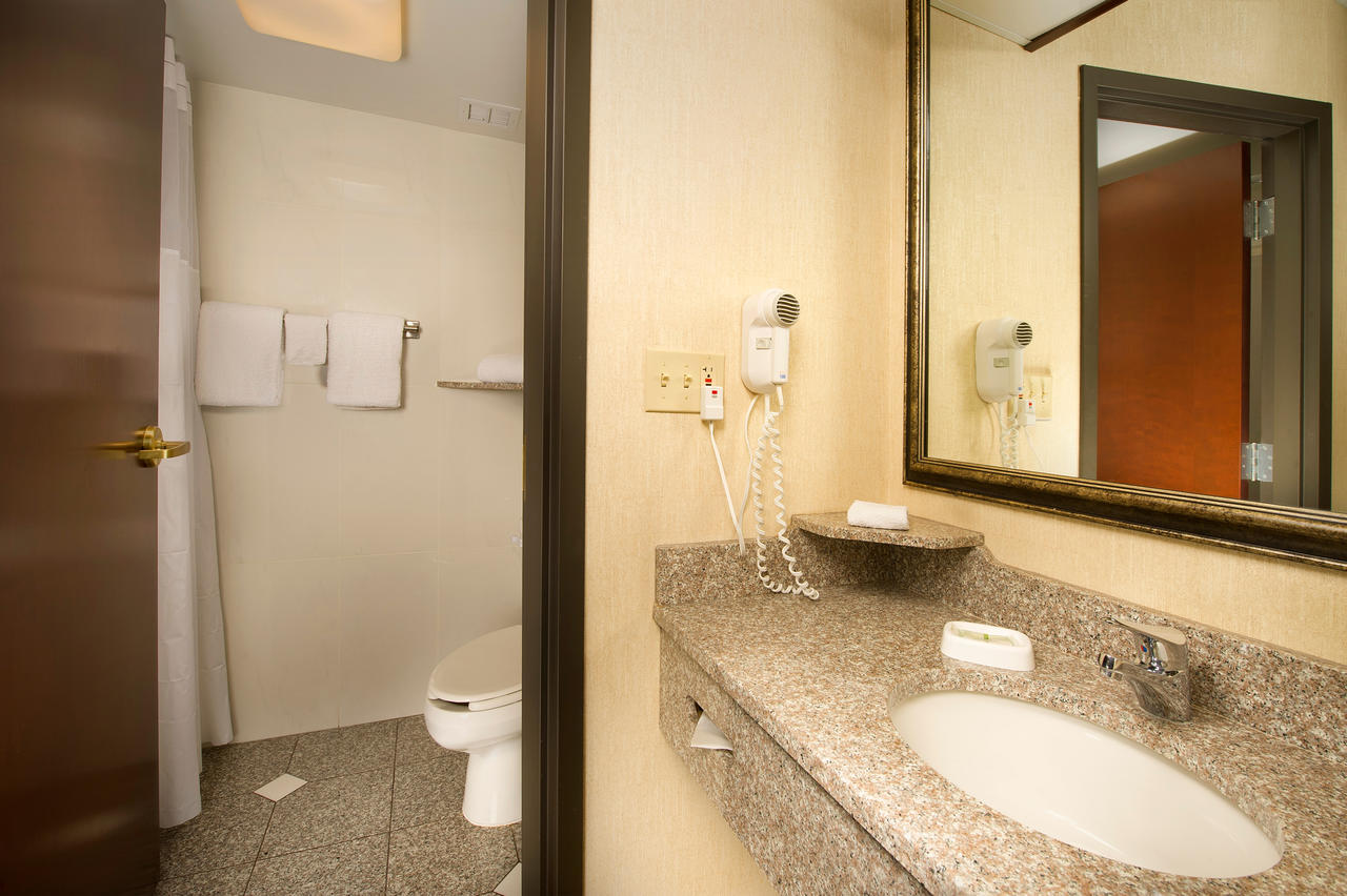 Drury Inn & Suites Columbus Dublin - thumb 12