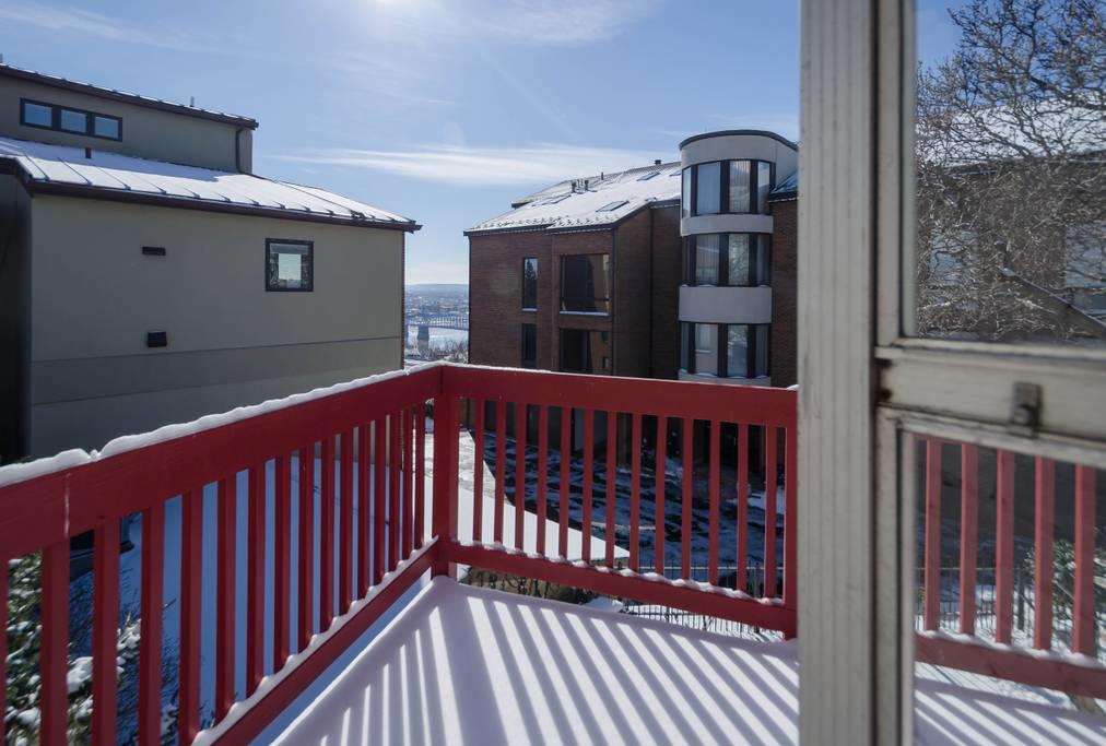 1027 Celestial Street - thumb 17