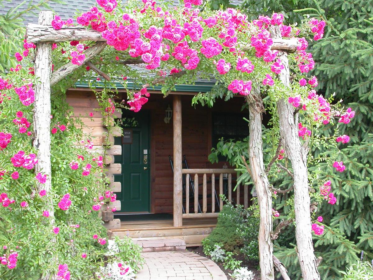 Cricket Hill Cabins & Lodge - thumb 1