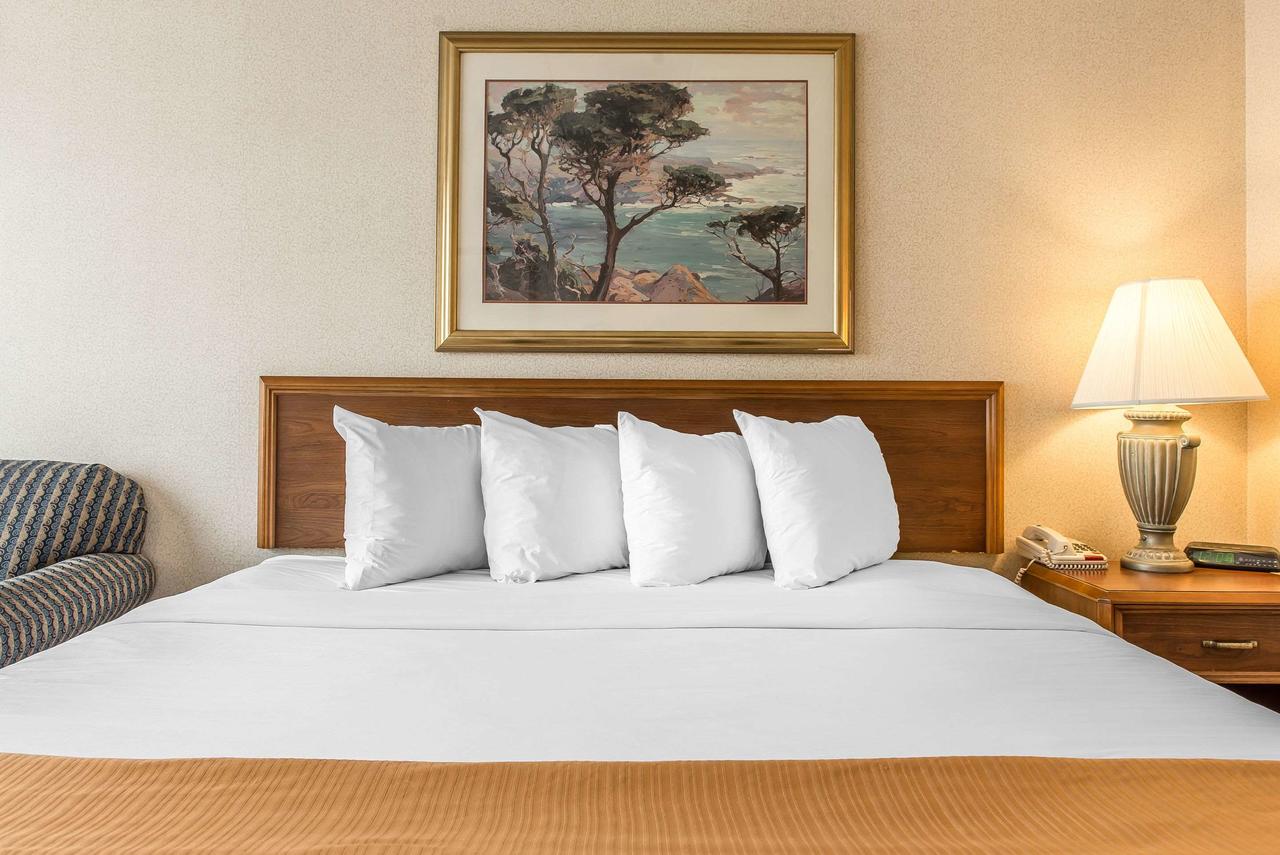 Quality Inn & Conference Center - Springfield - thumb 5