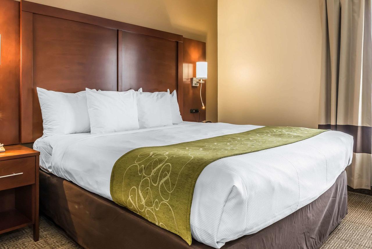 Comfort Suites Springfield - thumb 27
